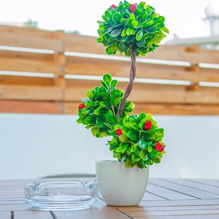 Διαμέρισμα Dub House